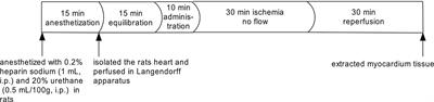 Shenlian Extract Against Myocardial Injury Induced by Ischemia Through the Regulation of NF-κB/IκB Signaling Axis